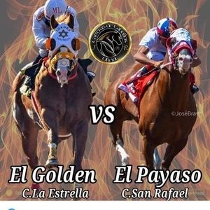 Meet your Posher, Isidro